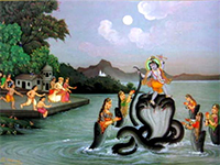 Defeat of Kaliya Naga by lord Krishna is also celebrated as Nag Panchami